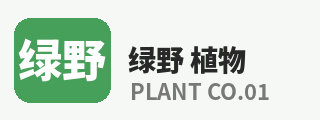 抖音风