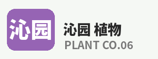 抖音风